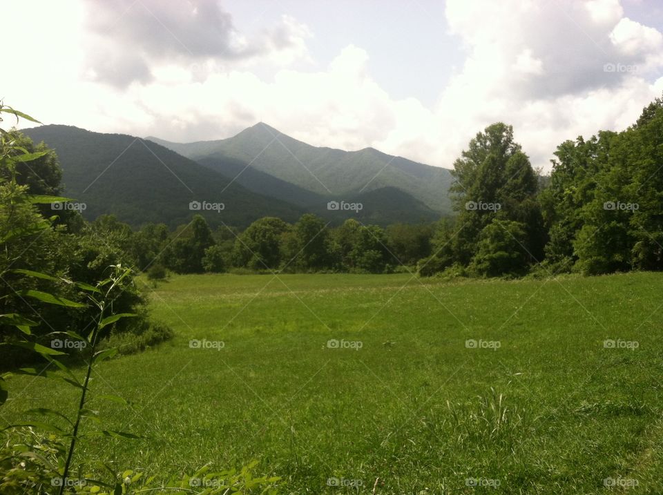 In which the clouds meet the grass