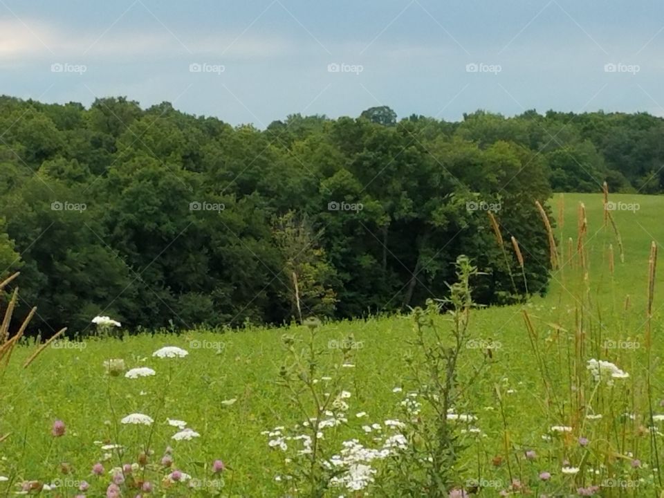 Driving the Back Roads and enjoying everything around us