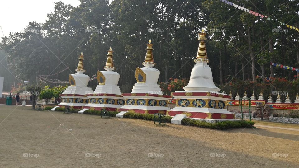 Buddha Temple Dehradun