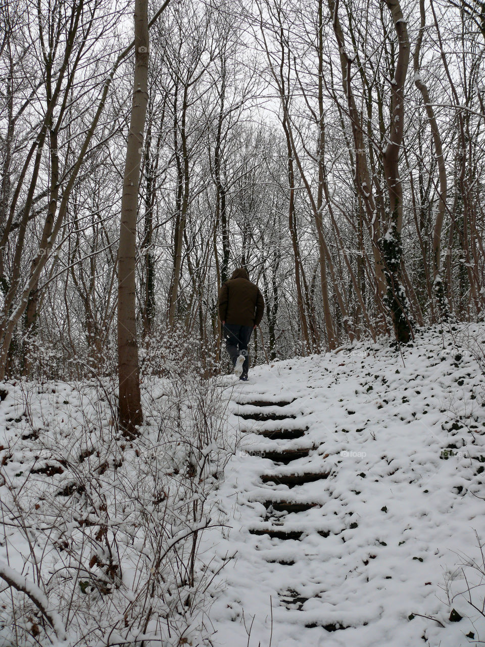 Winter scene in Berlin, Germany.