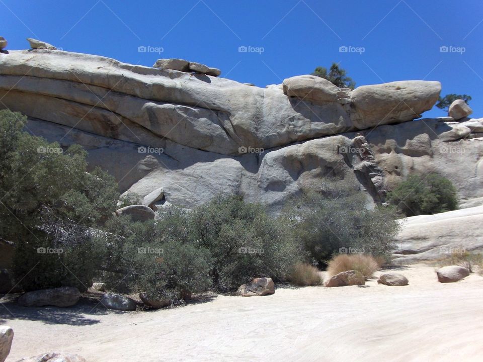 Desert  Rocks. Joshua Tree State Park, California