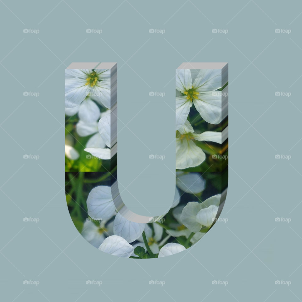 U alphabet 3d rendering of vertical white flowers alphabet