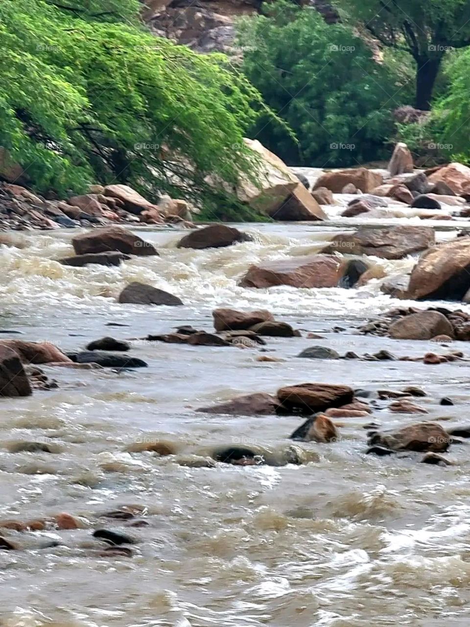 Glory be to God, the magnificent and picturesque view and the natural green trees are a view that is nothing more wonderful than it