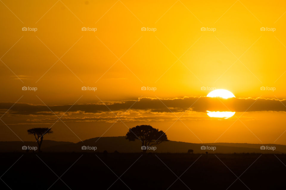 Sunrise on Masai Mara park