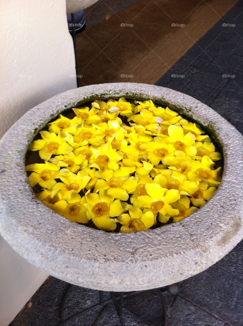 Yellow flowers in grey vasque