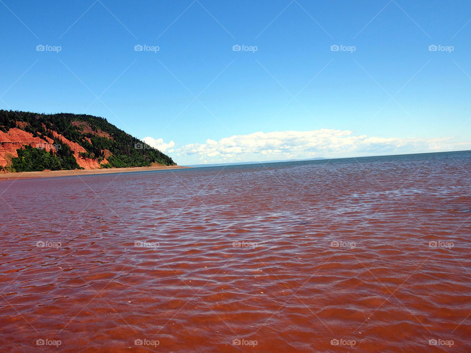 beach ocean sunny tourism by swatchtime