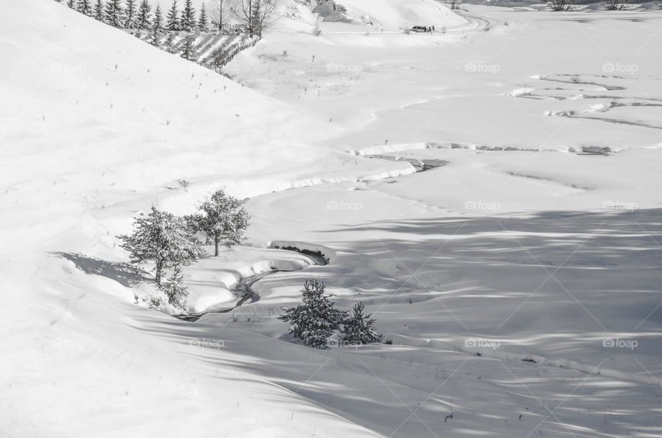 Winter landscape