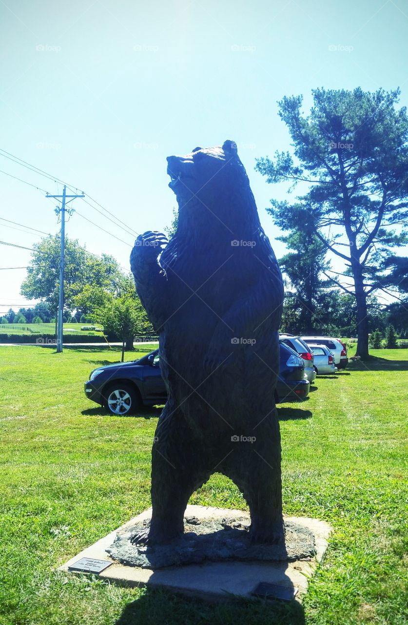 I'm going on a bear hunt....