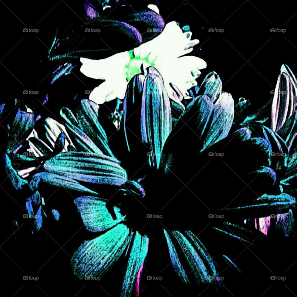 anticipation. lighting effects