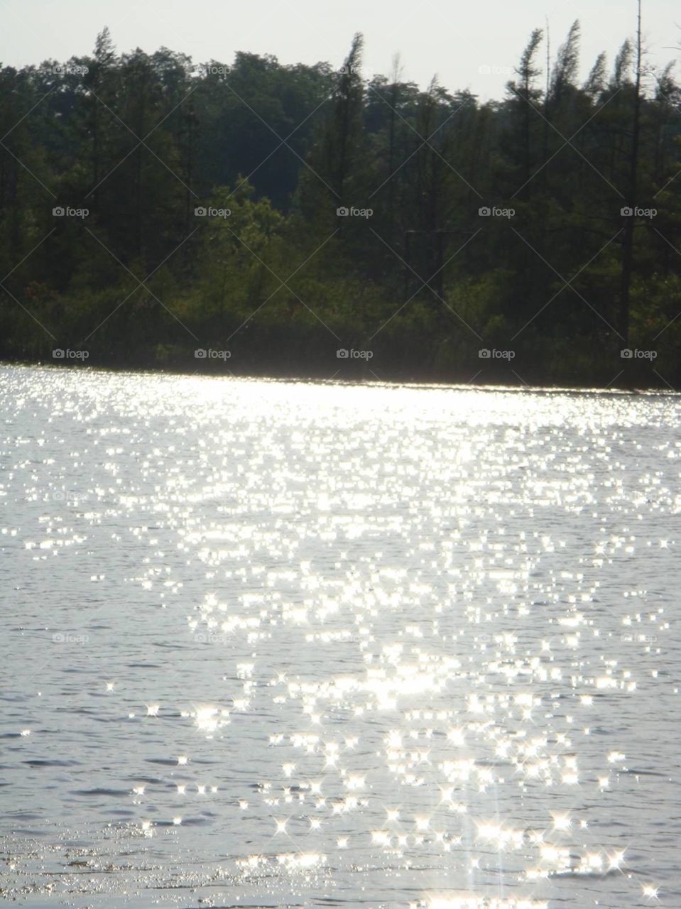 sunshine/water/lake