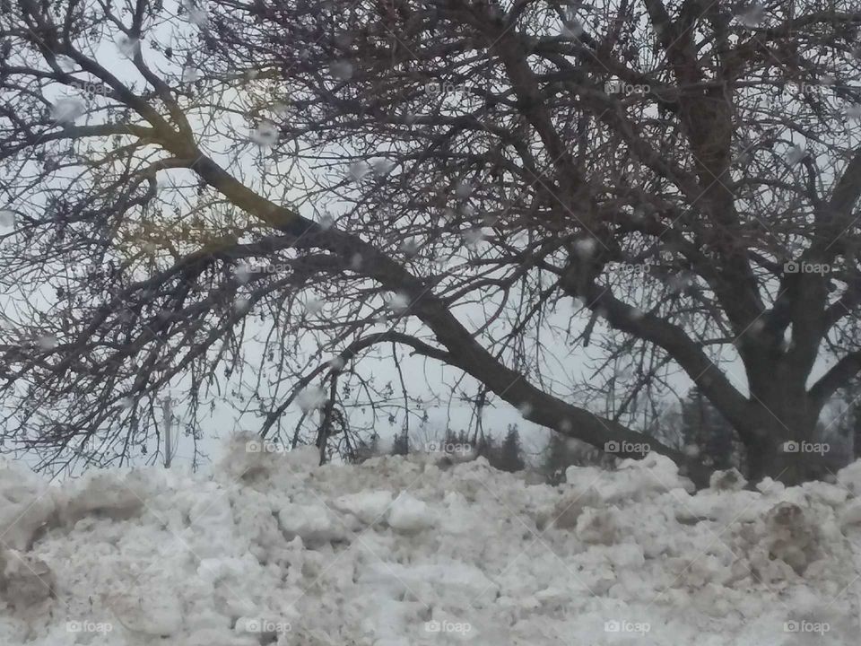 beliw normal cold 28 days 2018 April.