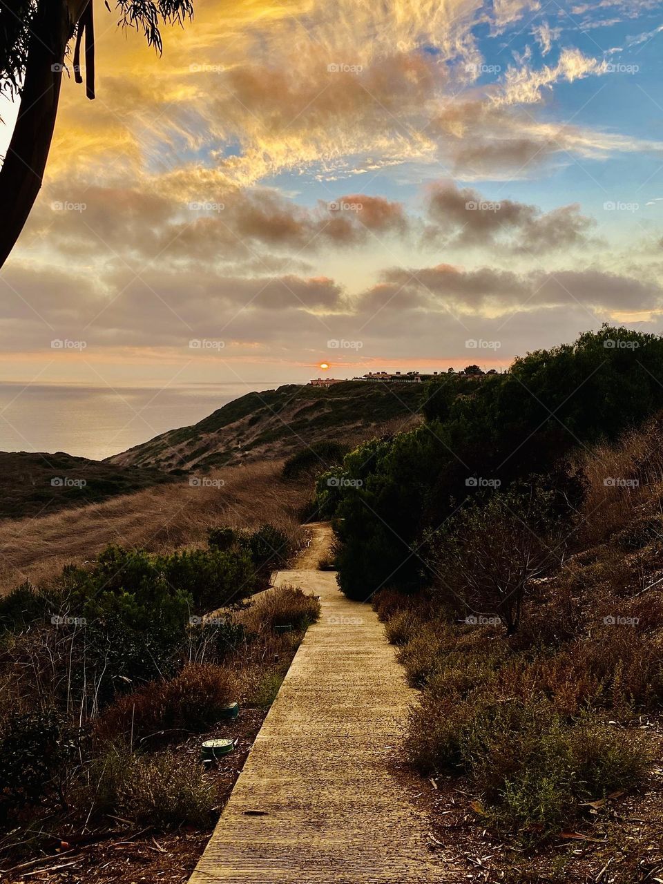 Trail to the Sunset