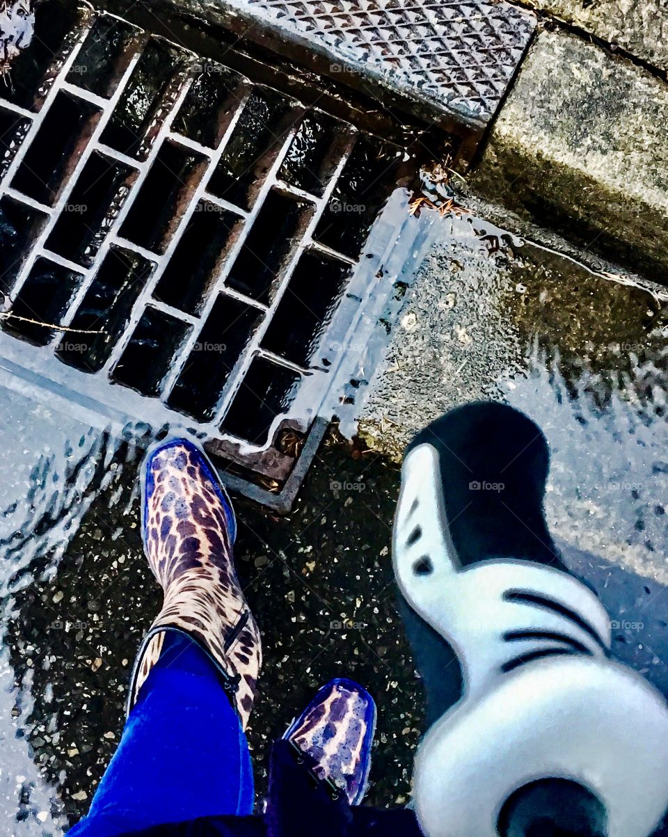 Typical Day In Leopard