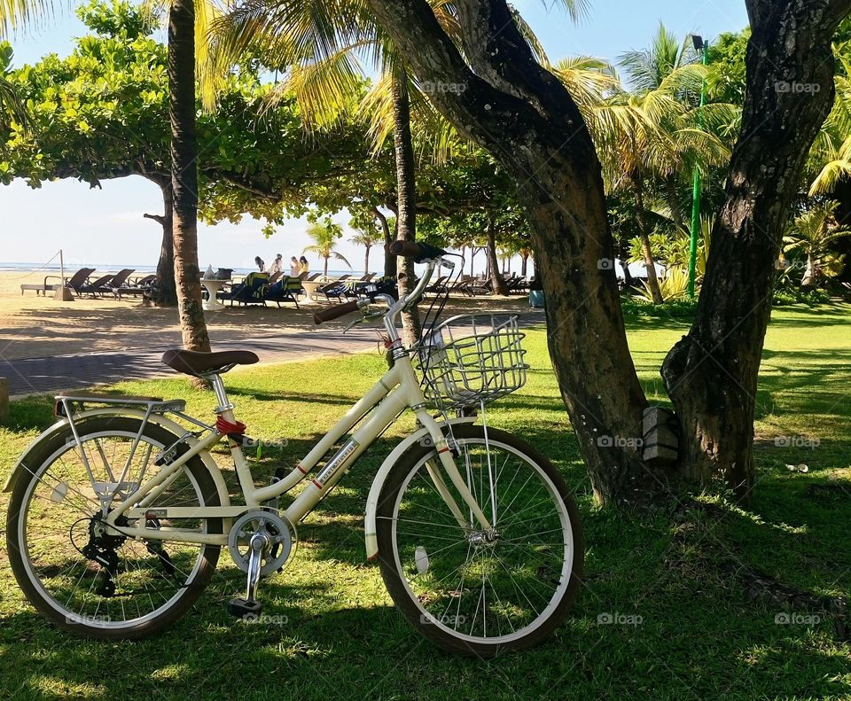 A bike for an active lifestyle