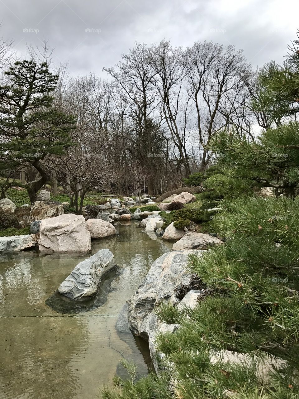 Japanese Rock garden 
