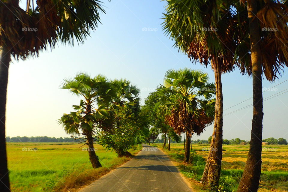On the road in Myanmar