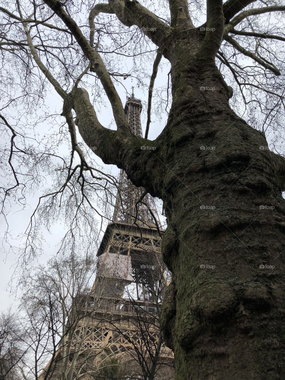 Eiffel Tower paris