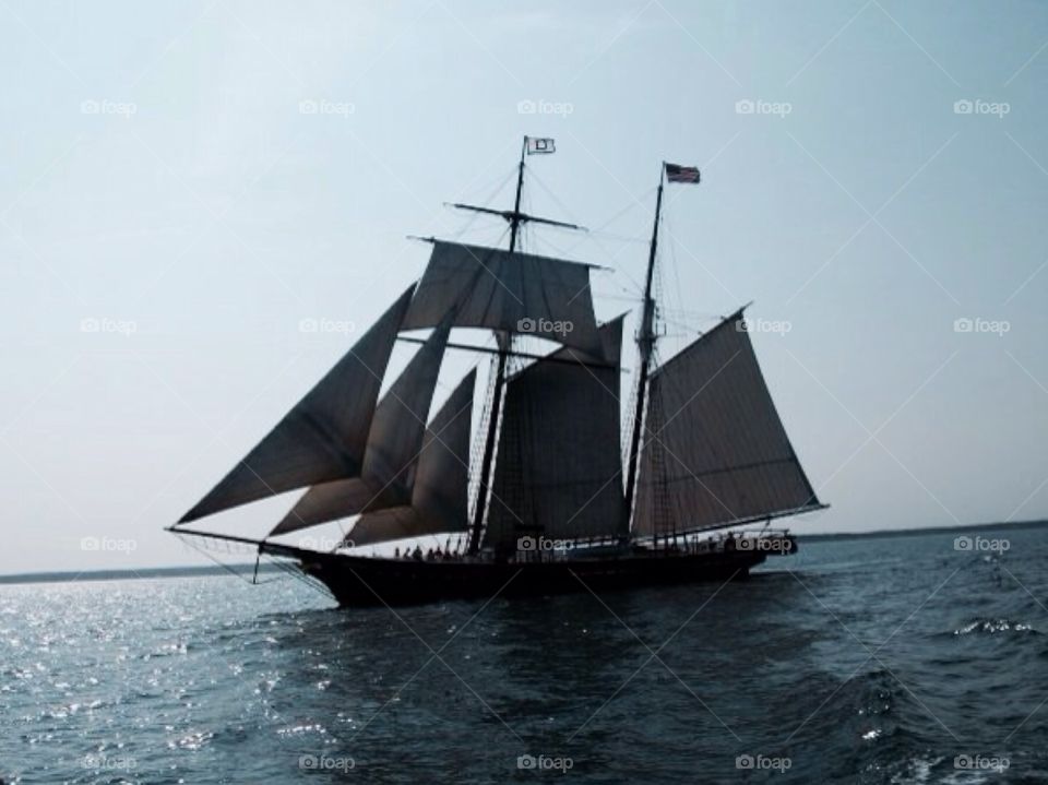 Ships Ahoy. Martha's Vineyard 