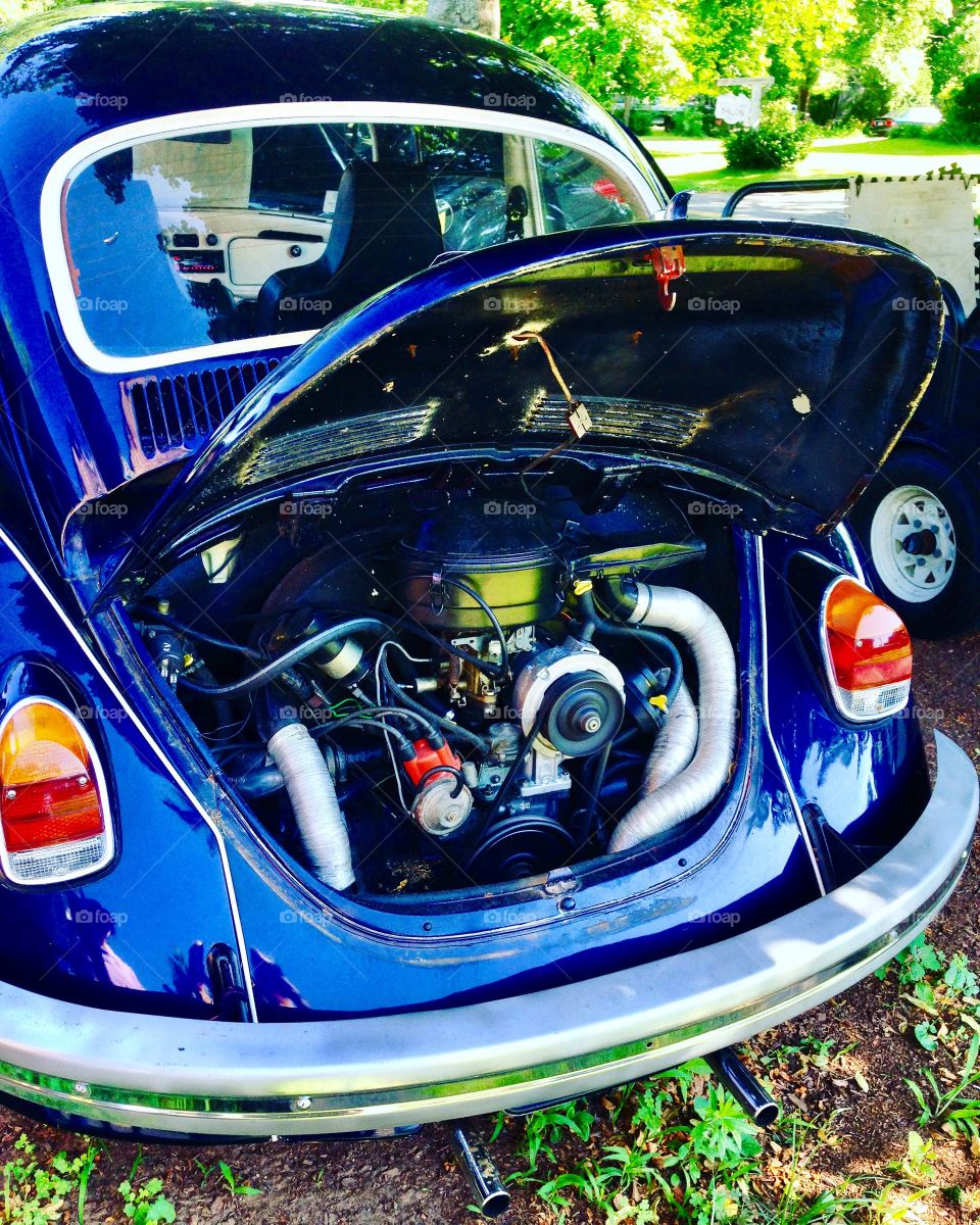 Volkswagen Beetle 