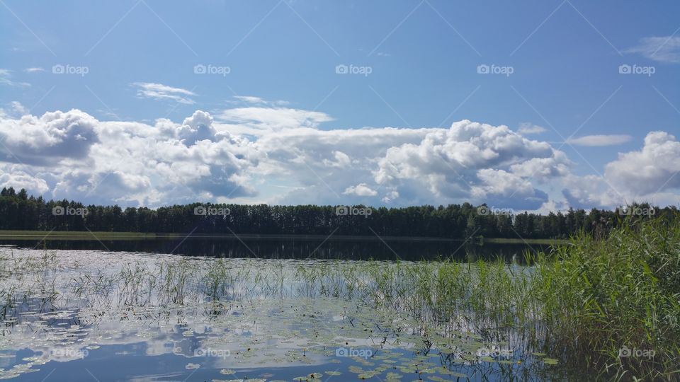 No Person, Landscape, Nature, Tree, Water