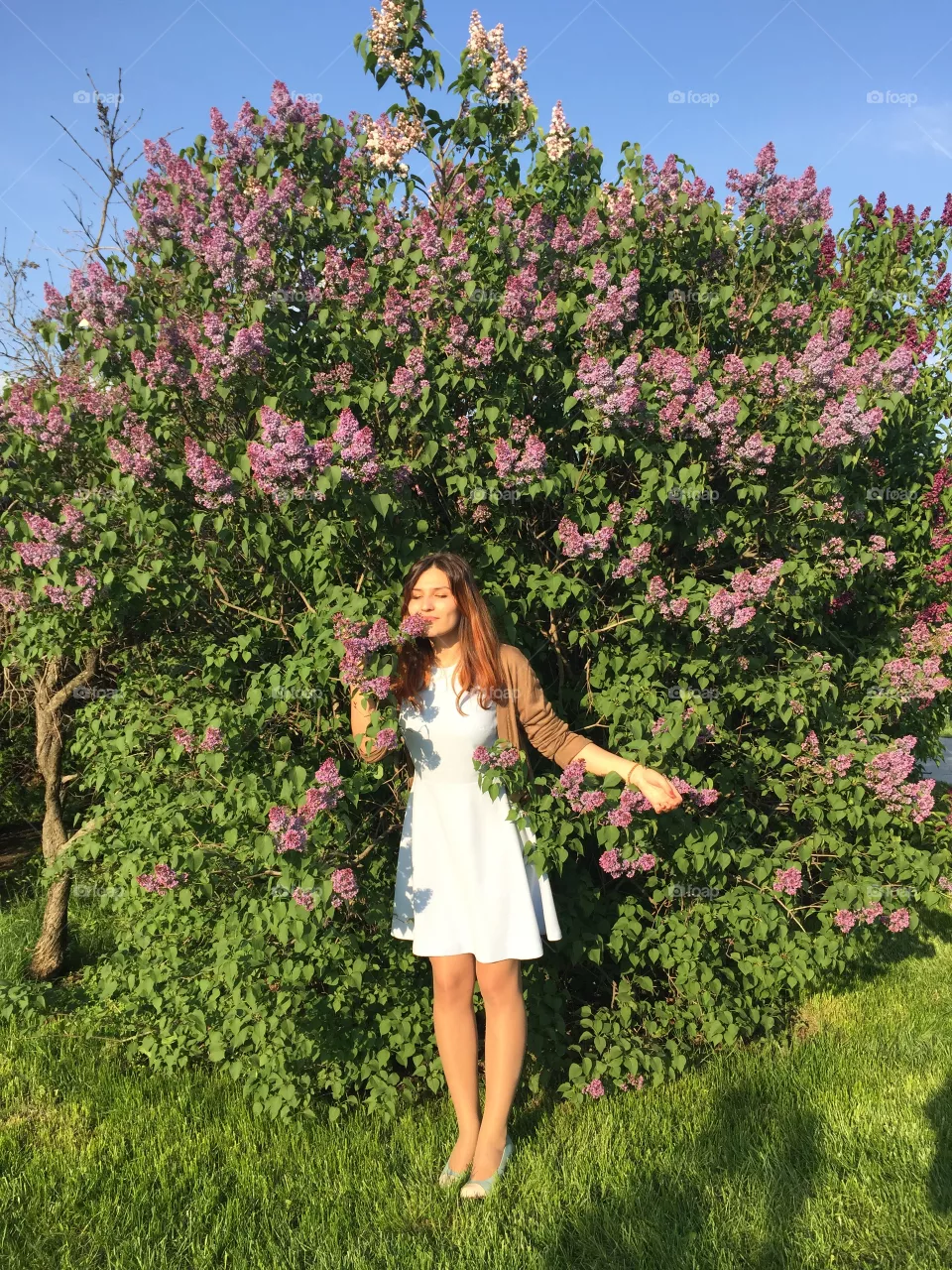 Vesna