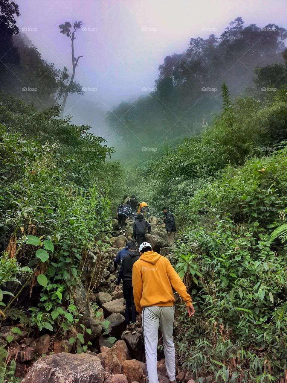 Wonder. Wander. Repeat