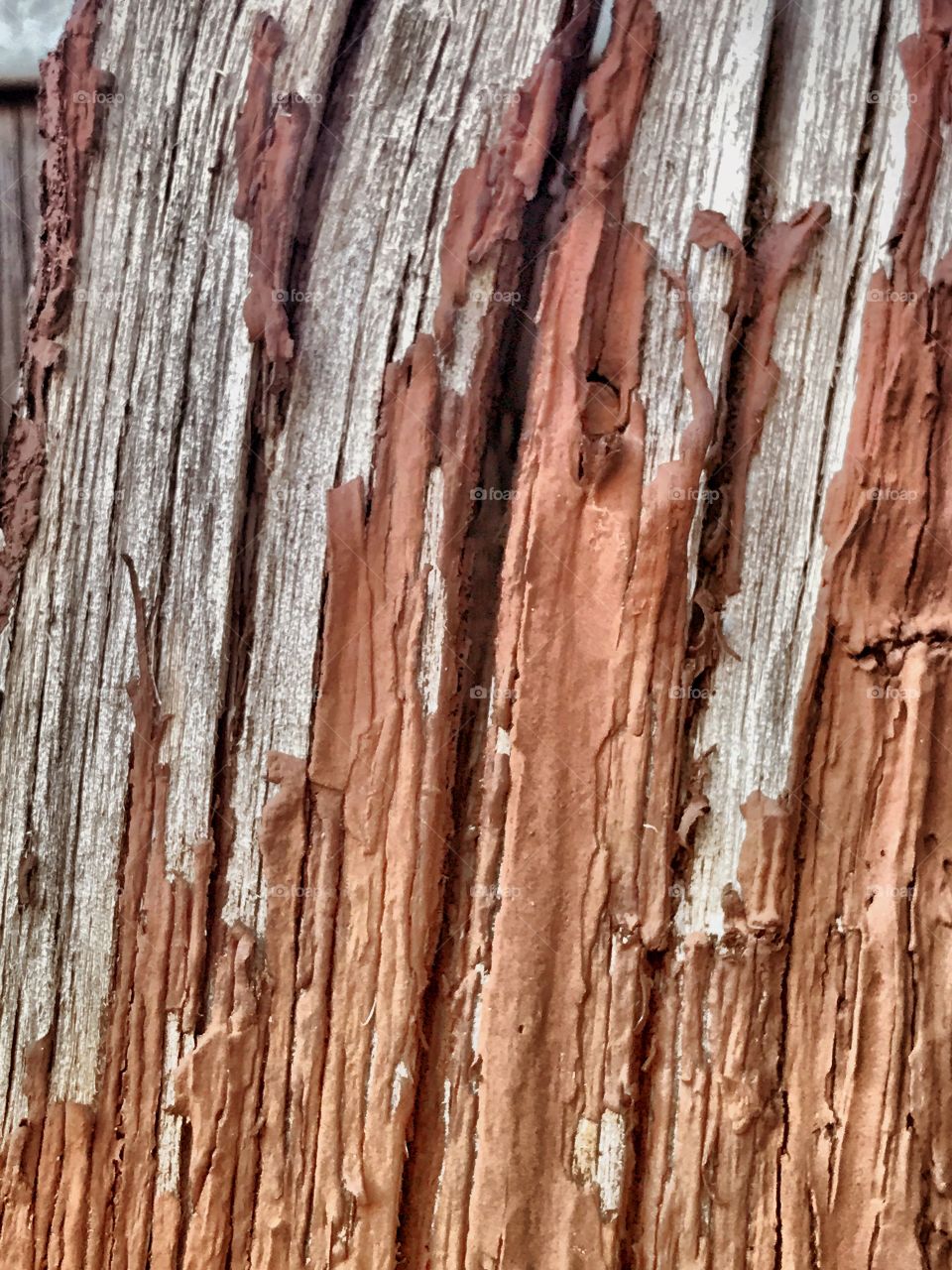 Paint chipping off wood texture 