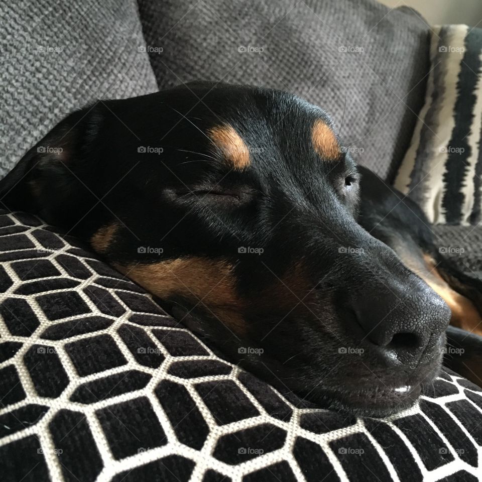 Jake often smiles in his sleep!