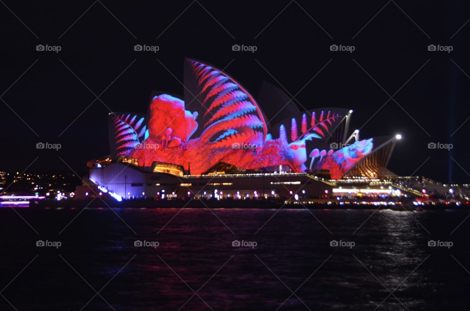 Sydney Opera house during the Vivid show 2018