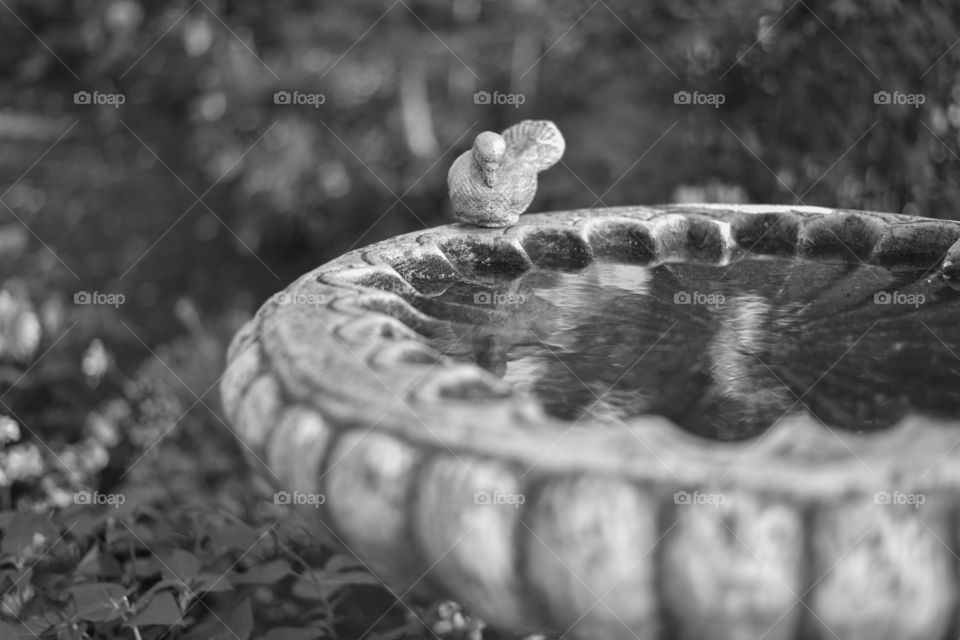 Water in a birdbath fountain in a vintage style garden.