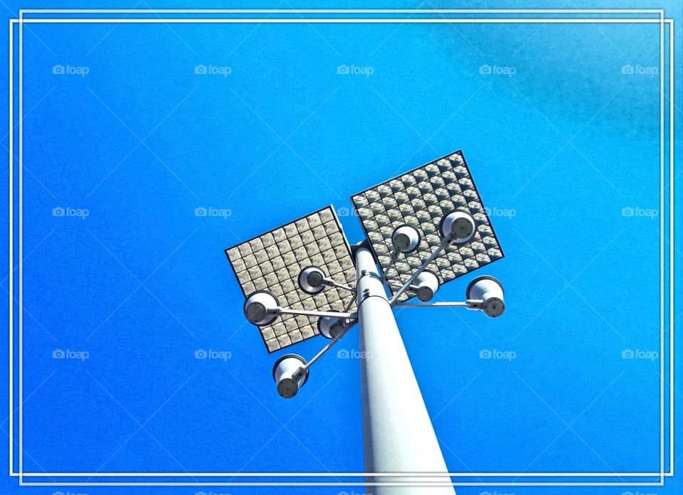 alien or not alien? this is the question.