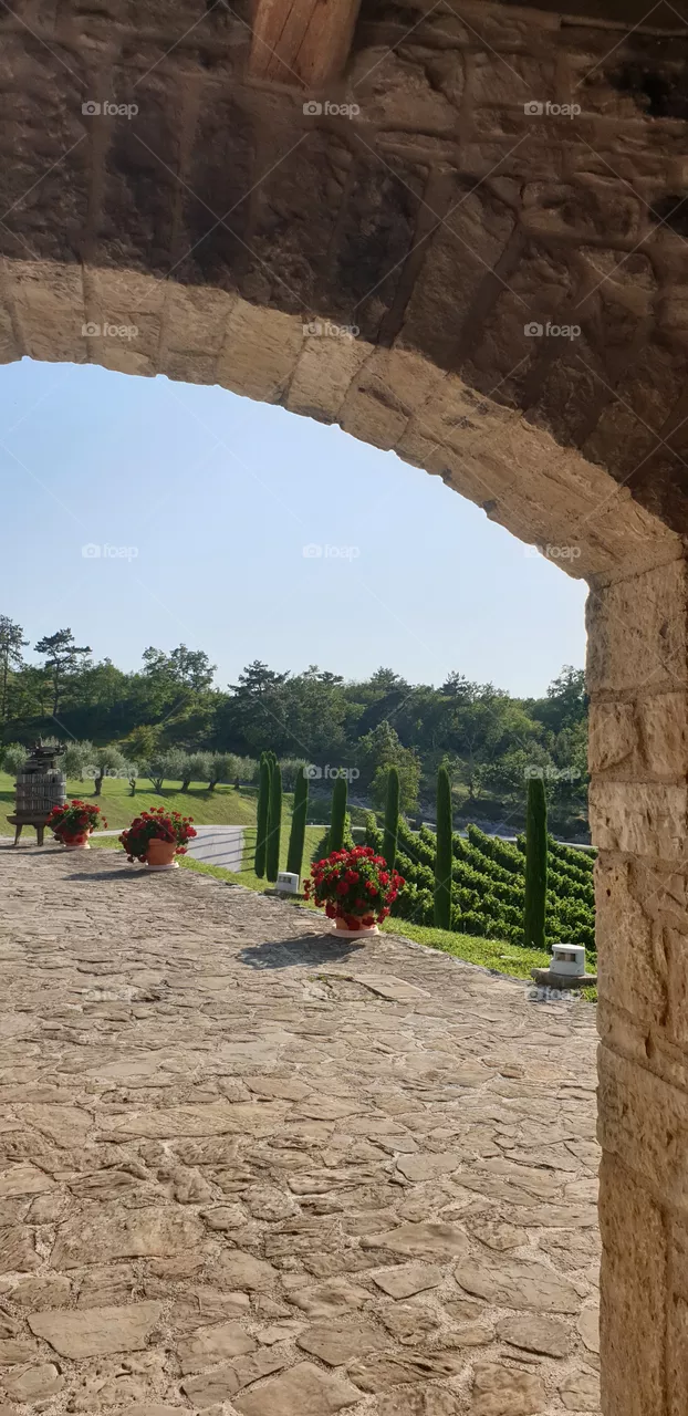 beautiful winery
