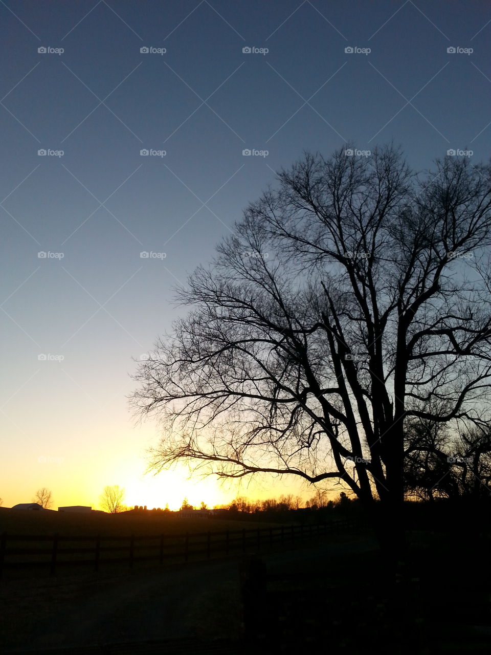 Dawn, Sunset, Landscape, Tree, Sun