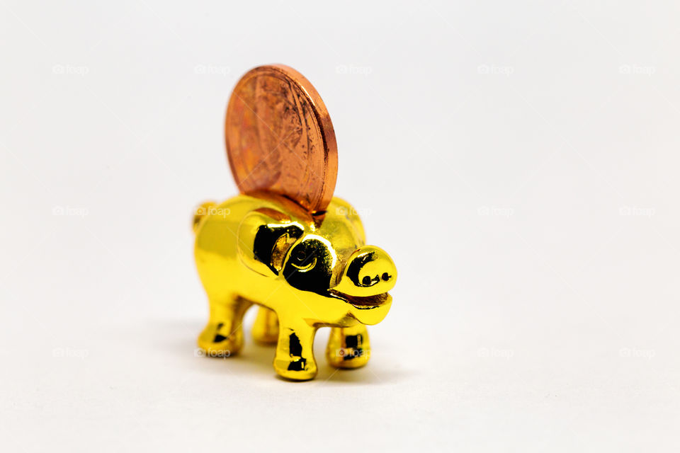 Golden piggy bank