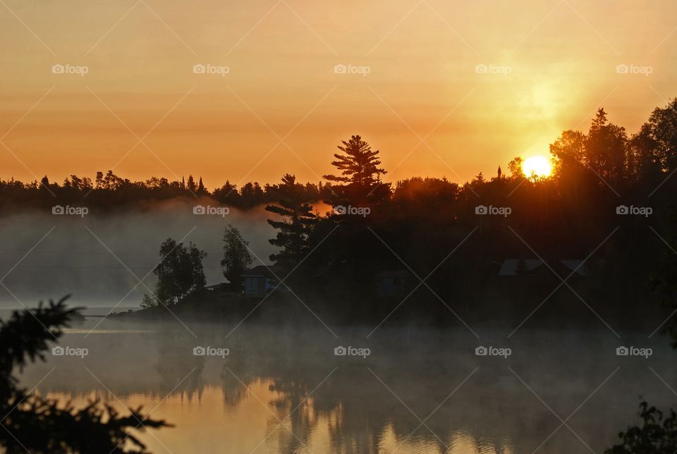 Mist on the lake