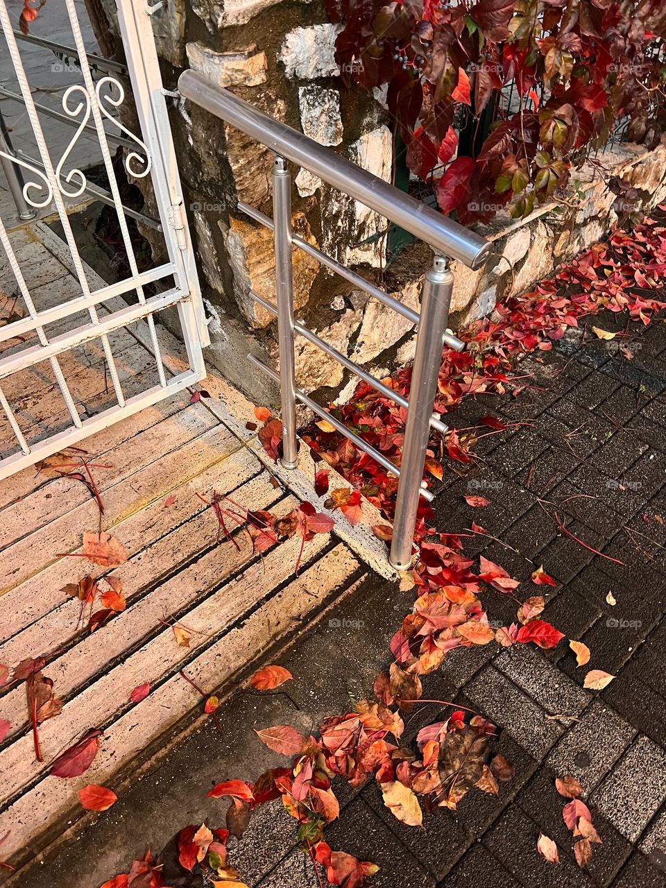 Red Autumn leaves on the street