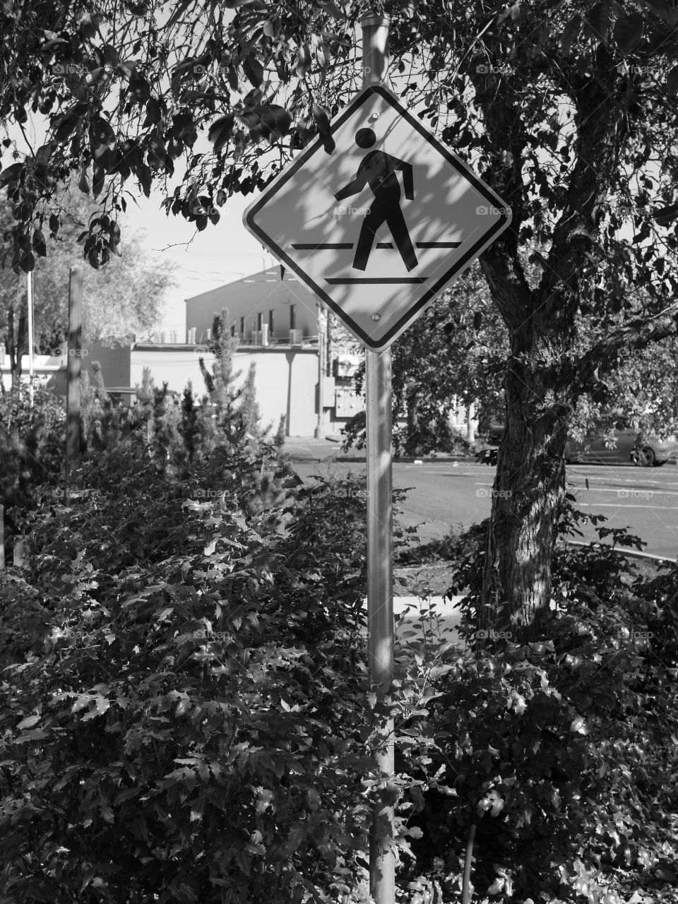 A pedestrian crossing sign on the side of the road amongst nice landscaping on a sunny day. 