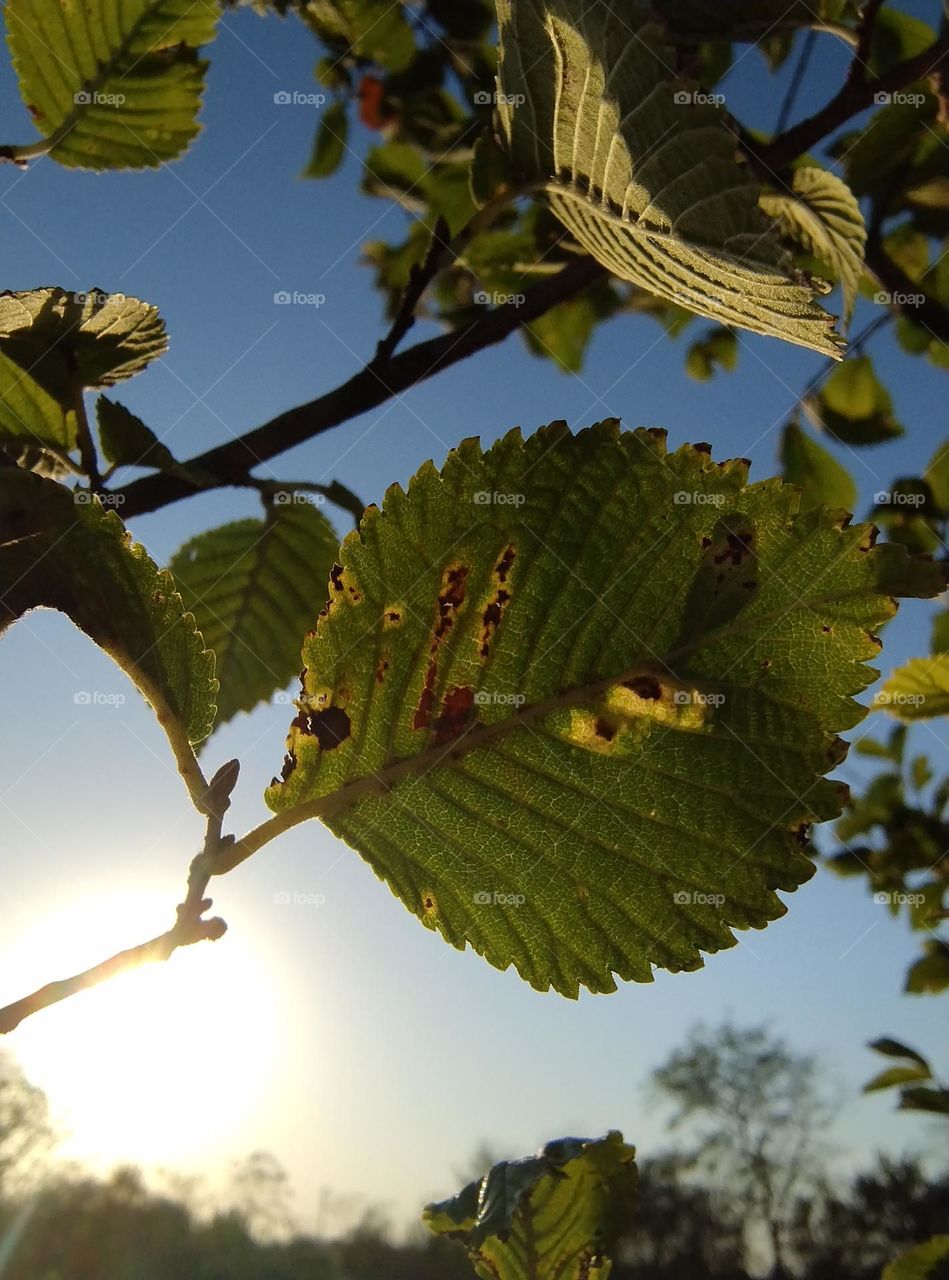 Some closeup picture on Romania countryside ❤️