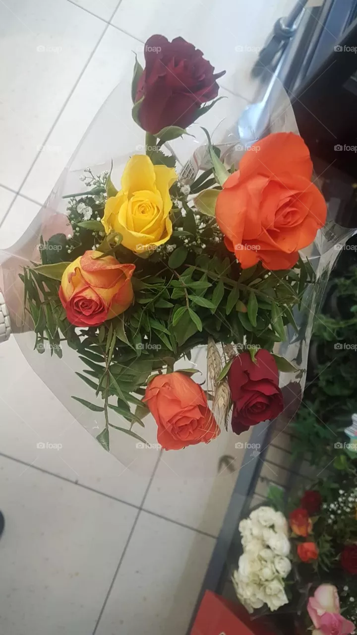 Blumen 