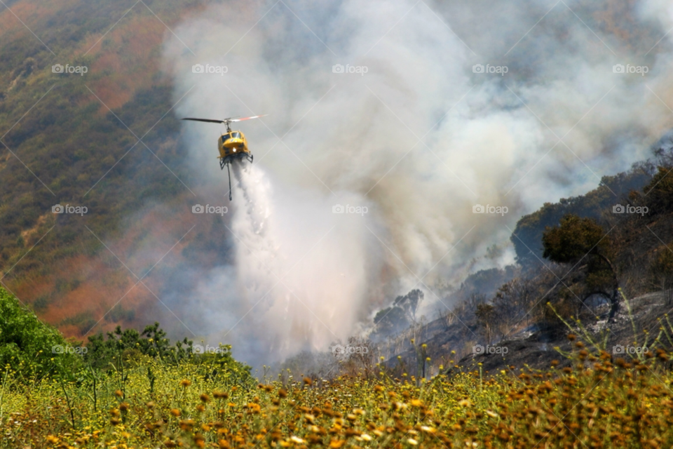 nature blue black grass by hlehnerer