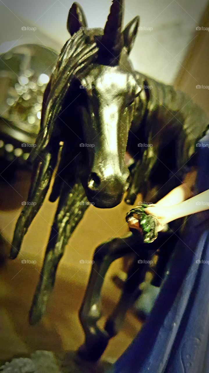 Beautiful macro shots