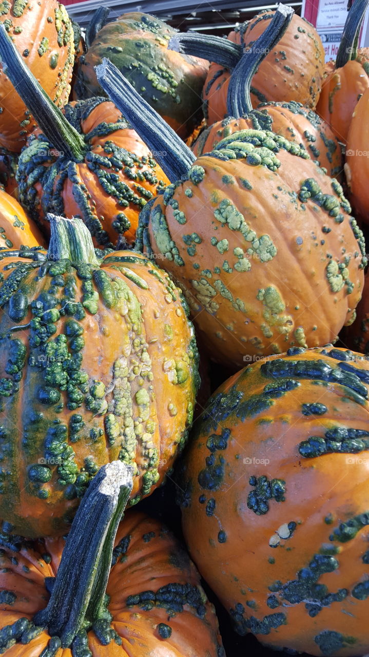 weird pumpkins