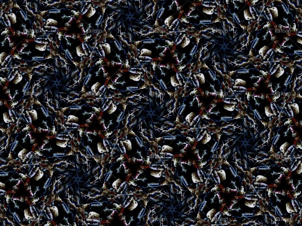 I’m so amazed how a simple photo transformed into this design, so I enjoyed doing this