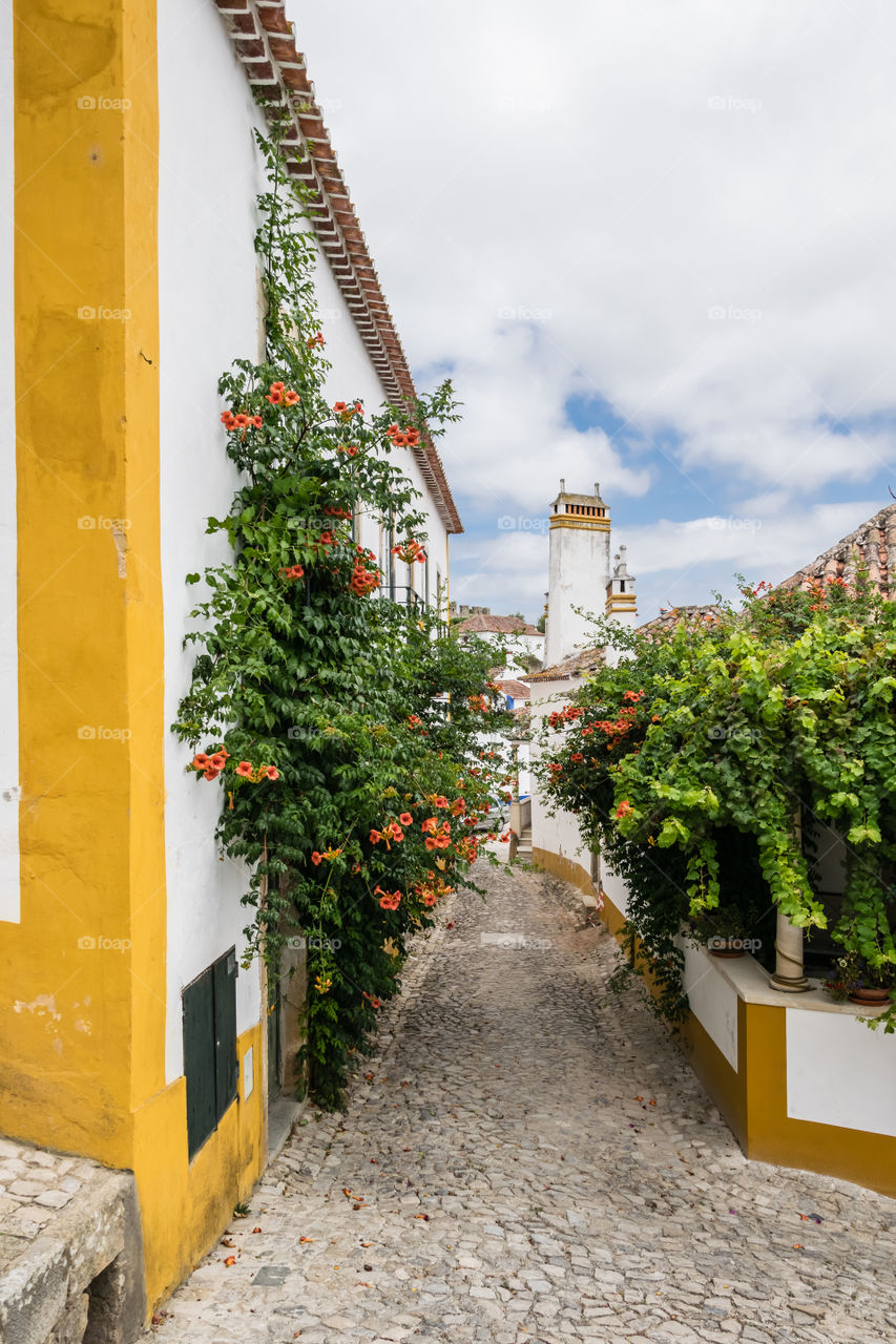 Beautiful streets in Portugal (Óbidos)