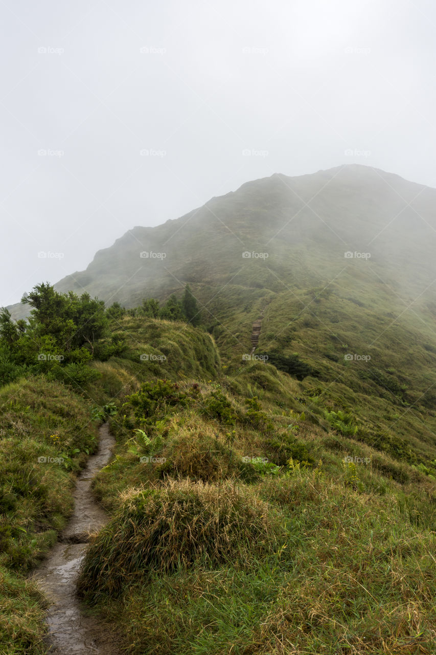 Hiking on Pico da Vara the highest mountain of Sao Miguel island, Azores, Portugal. A cloudy day.