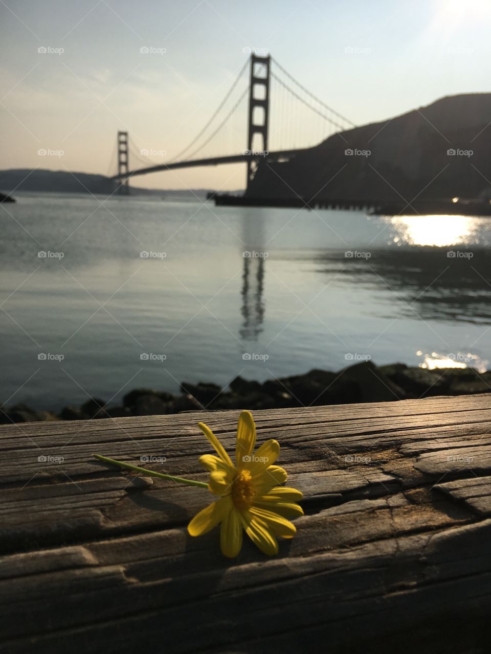 If you’re going to San Francisco.. 