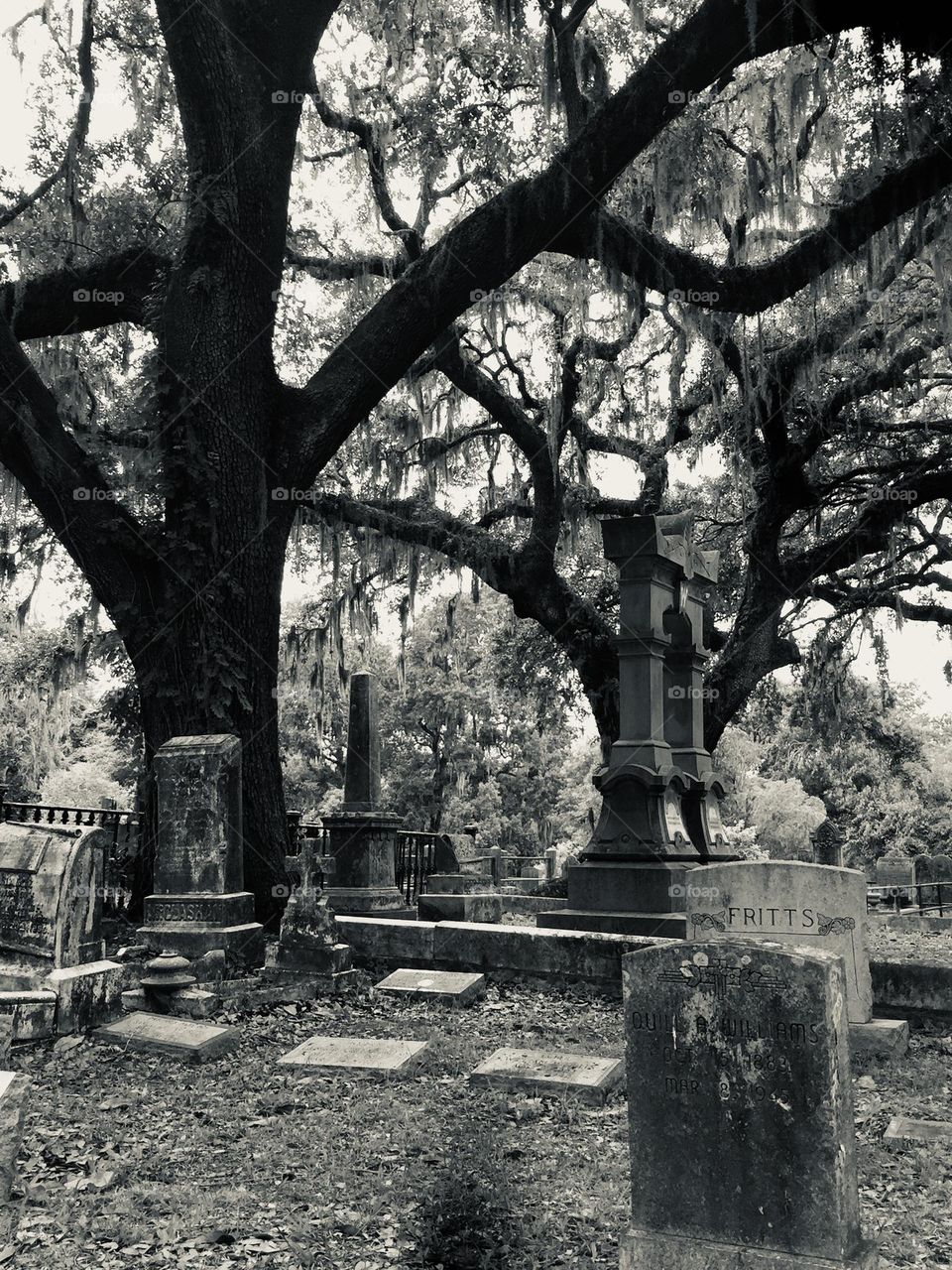 A photo from when we were walking through an eerily beautiful cemetery in Savannah Georgia 