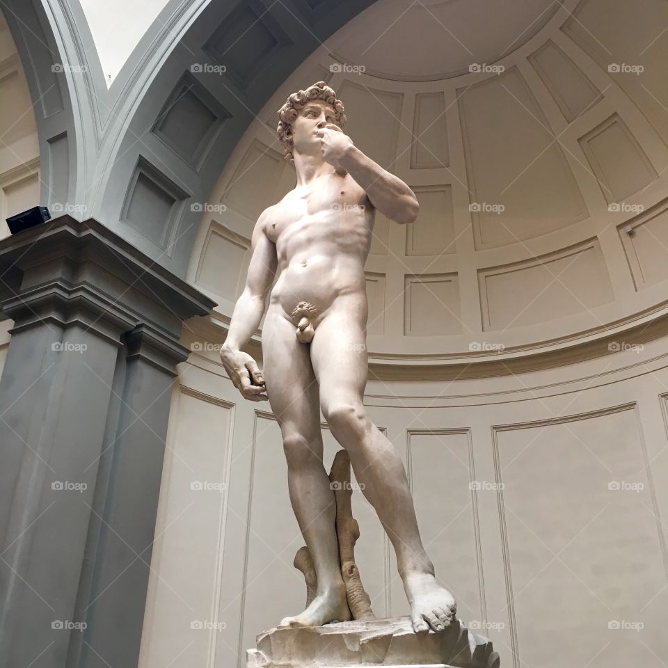 David, Michelangelo, Galleria dell'Accademia, Firenze, Italia