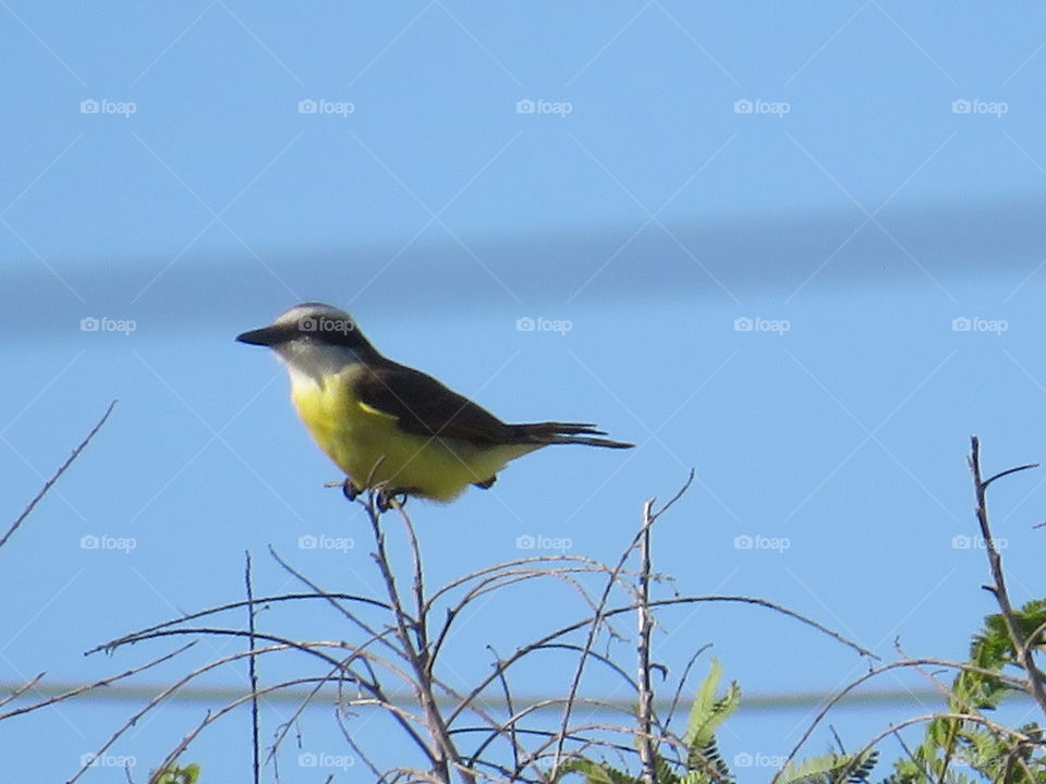 equilíbrio com a natureza