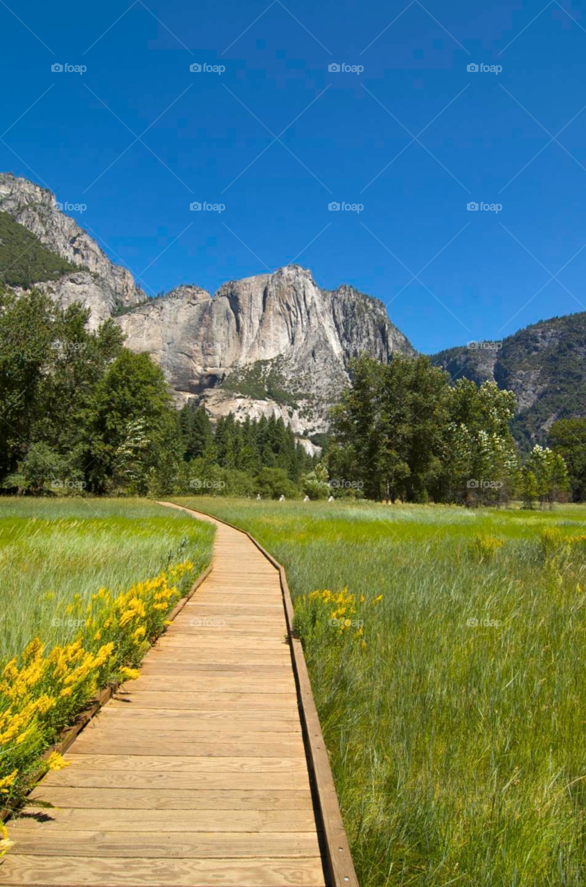 sky green meadow blue by stephenkirsh